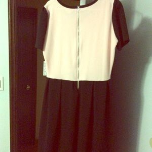 NWT LulaRoe Amelia Dress